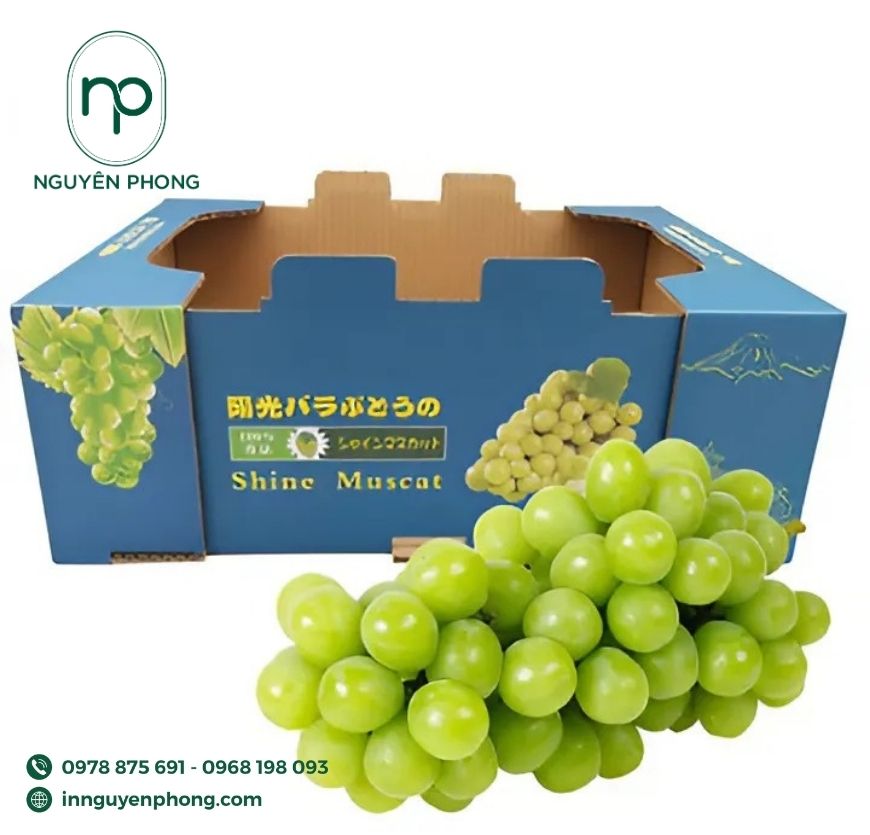 mau-thung-carton-dung-nho-don-gian 